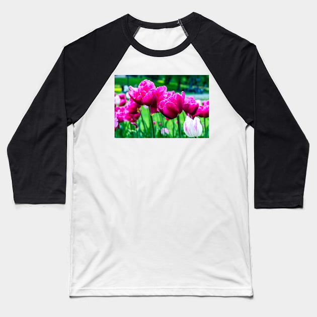 Pink tulips closeup Baseball T-Shirt by lena-maximova